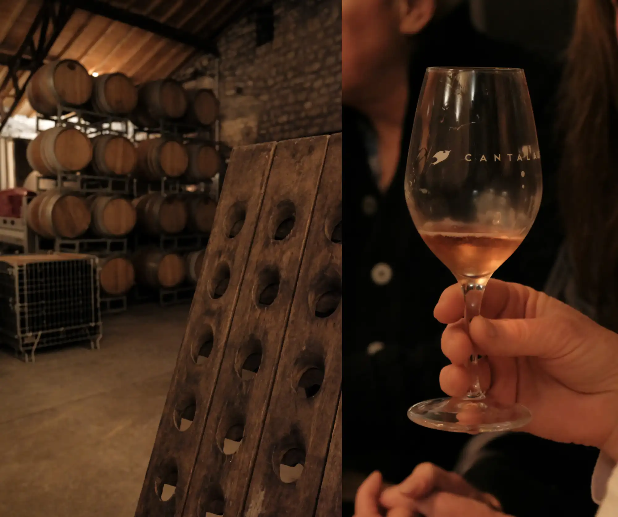 Cave à vin et Dégustation